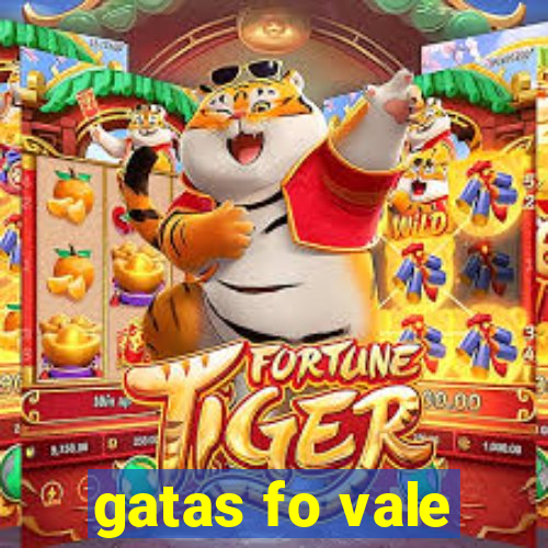 gatas fo vale